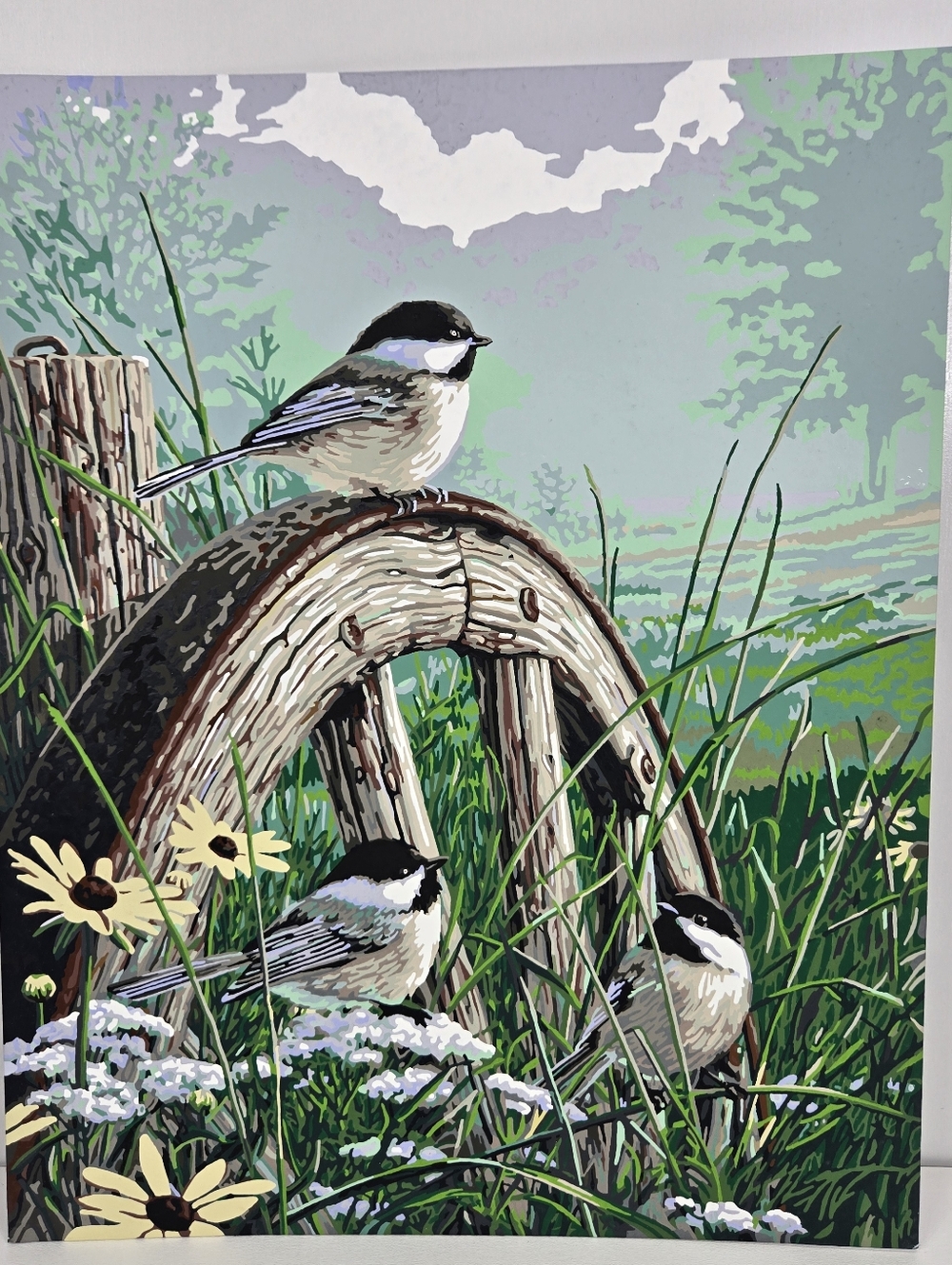 Meadow's Edge Finished Acrylic Painting Paint By Number 16x20 Aviation Chickadee